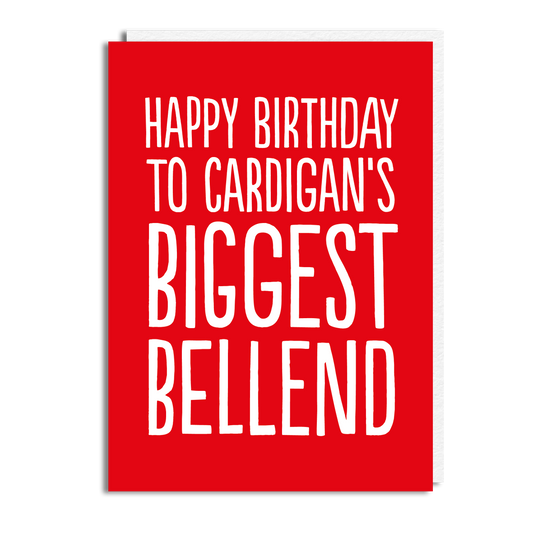 CARDIGANS BIGGEST BELLEND